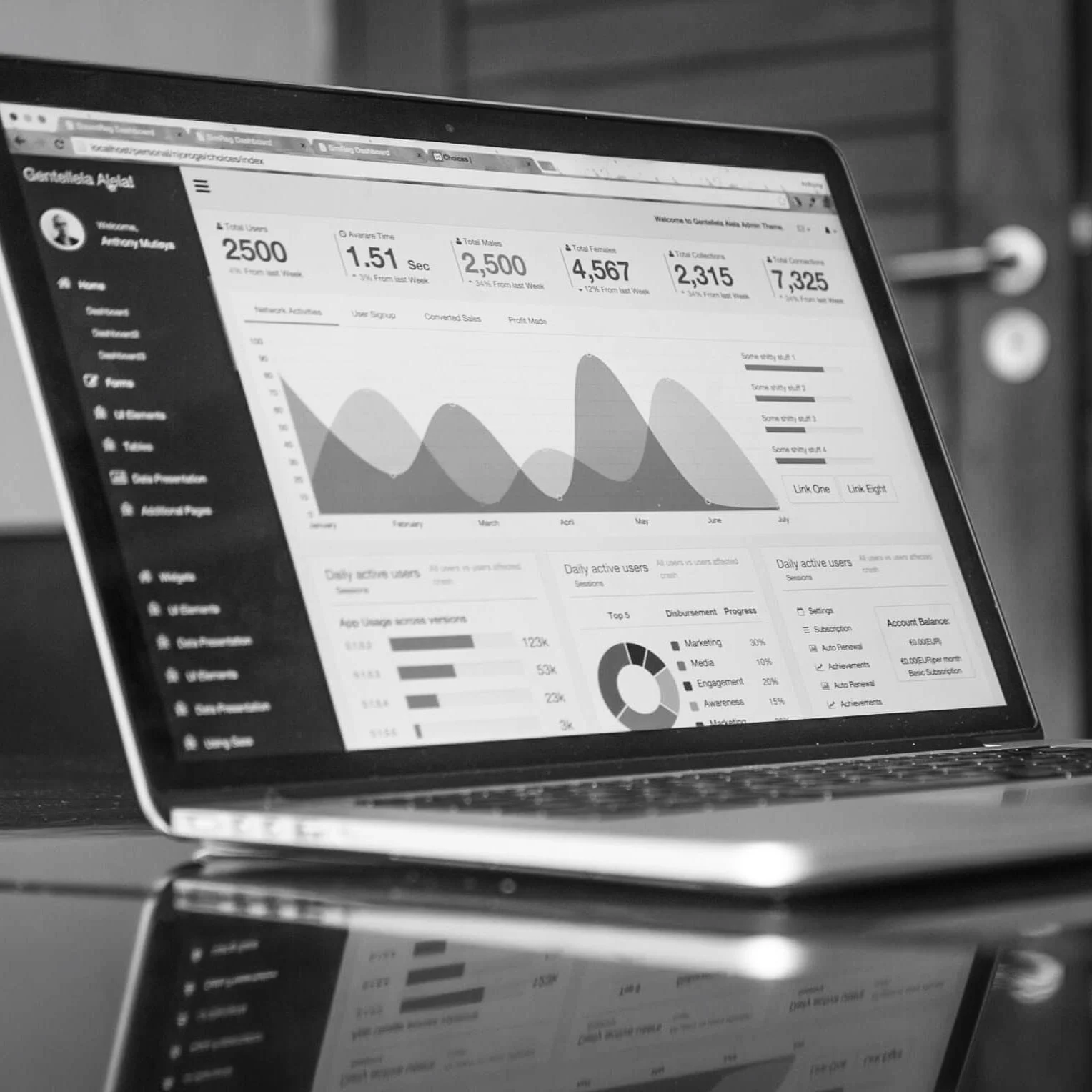 Charts with statistics on a laptop screen Charts with statistics on a laptop screen